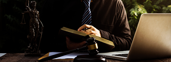 Male Lawyer Working in Office
